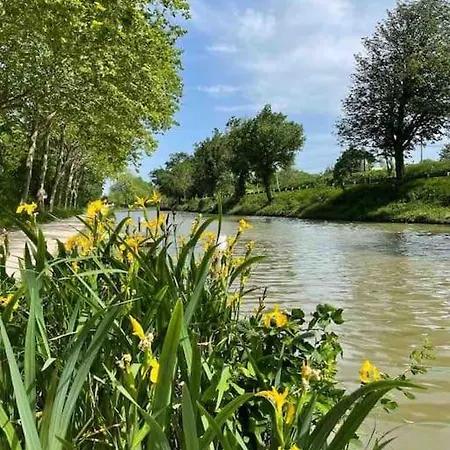 Chez Luis et David Villa Avignonet-de-Lauragais Buitenkant foto
